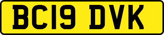 BC19DVK