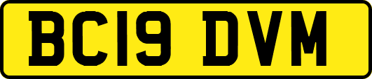 BC19DVM