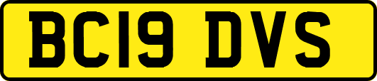 BC19DVS