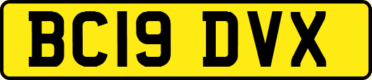 BC19DVX