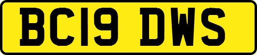 BC19DWS
