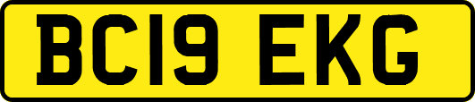 BC19EKG