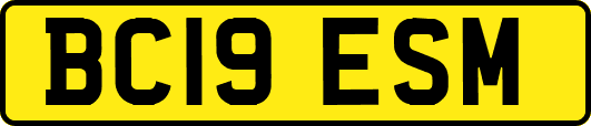 BC19ESM
