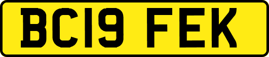 BC19FEK