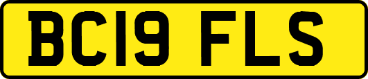 BC19FLS