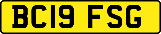 BC19FSG