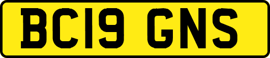 BC19GNS