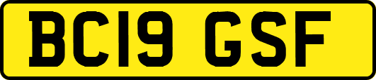 BC19GSF