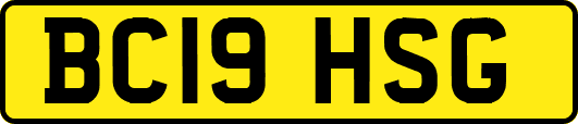 BC19HSG