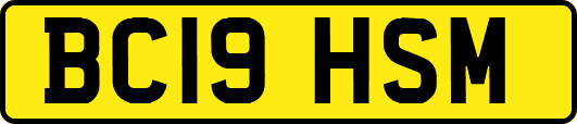 BC19HSM