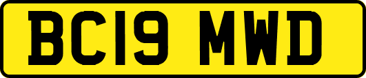 BC19MWD