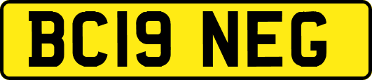 BC19NEG