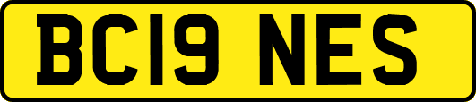 BC19NES
