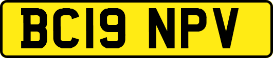 BC19NPV