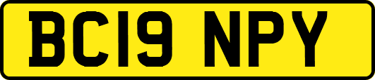 BC19NPY