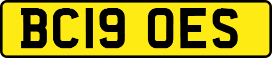 BC19OES