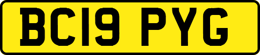 BC19PYG