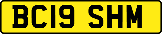 BC19SHM
