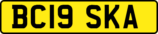 BC19SKA