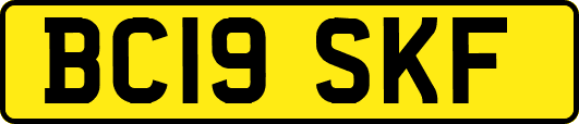 BC19SKF