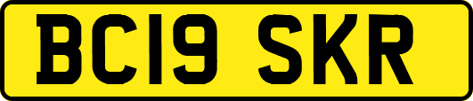 BC19SKR