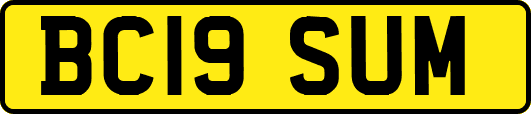 BC19SUM