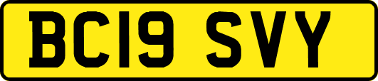 BC19SVY