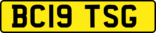 BC19TSG