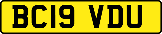 BC19VDU