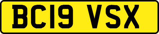 BC19VSX