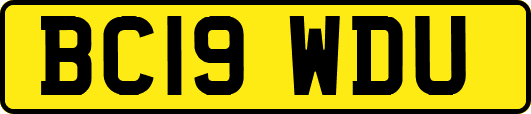 BC19WDU