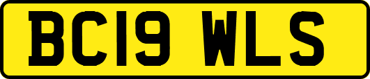 BC19WLS