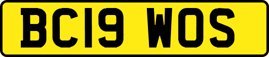 BC19WOS