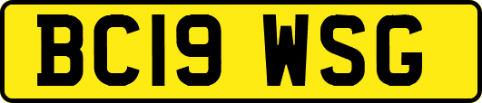 BC19WSG