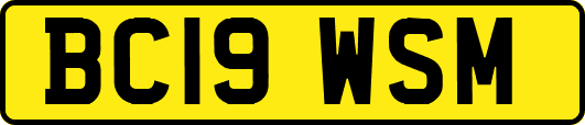 BC19WSM