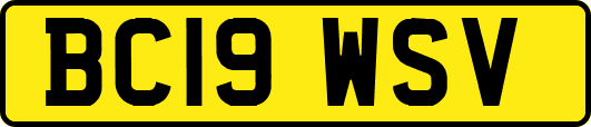 BC19WSV