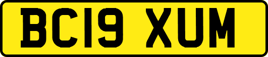 BC19XUM