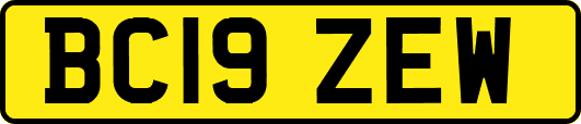 BC19ZEW