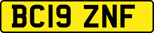 BC19ZNF