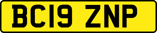 BC19ZNP