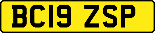 BC19ZSP