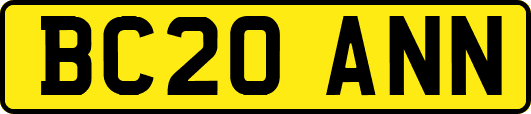BC20ANN