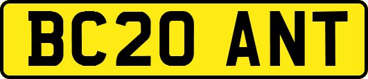 BC20ANT