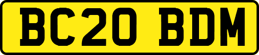 BC20BDM