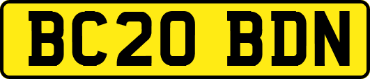 BC20BDN