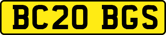 BC20BGS
