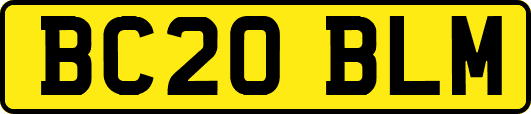 BC20BLM