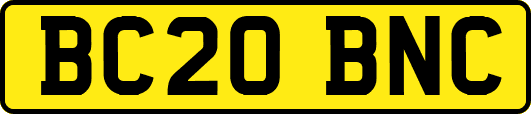BC20BNC
