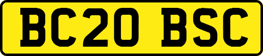 BC20BSC