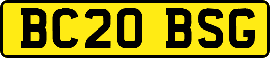BC20BSG